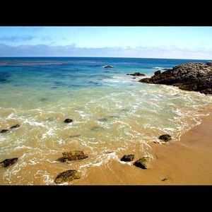 Meet your Posher, Holly