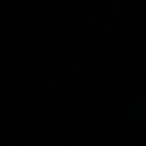 Meet your Posher, Babbette