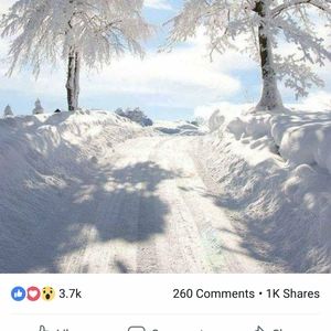 Meet your Posher, Connie