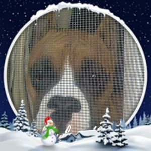 Meet your Posher, Shona