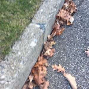 Meet your Posher, Eoin