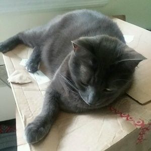 Meet your Posher, Helen