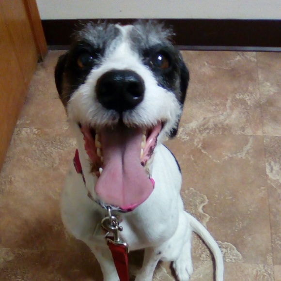 Meet your Posher, Lynn - Picture 4 of 6