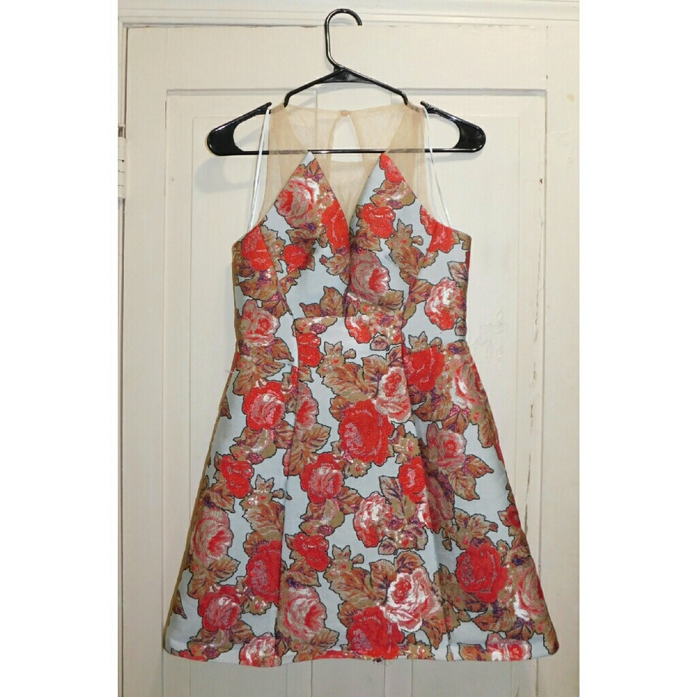 Topshop Embroidered Floral Dress