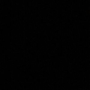 Meet your Posher, Darisha