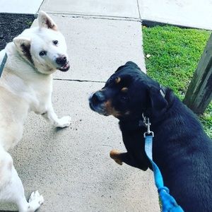 Meet your Posher, Nick