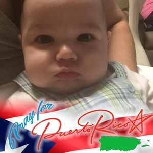 Meet your Posher, Zelhis