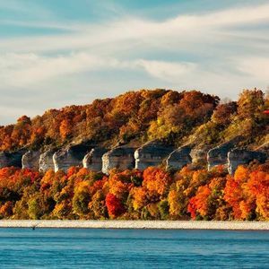 Meet your Posher, Missy