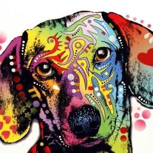 Meet your Posher, Leesa