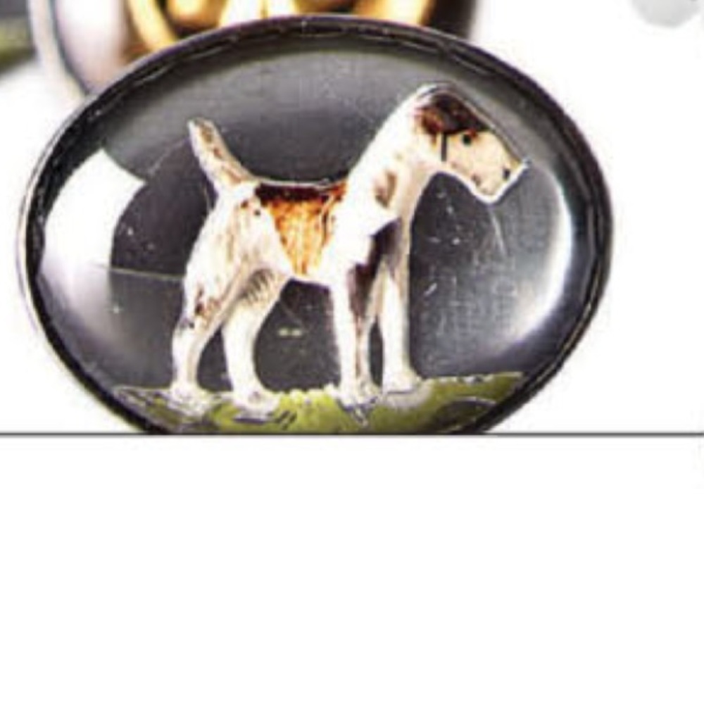 Meet your Posher, Dawn