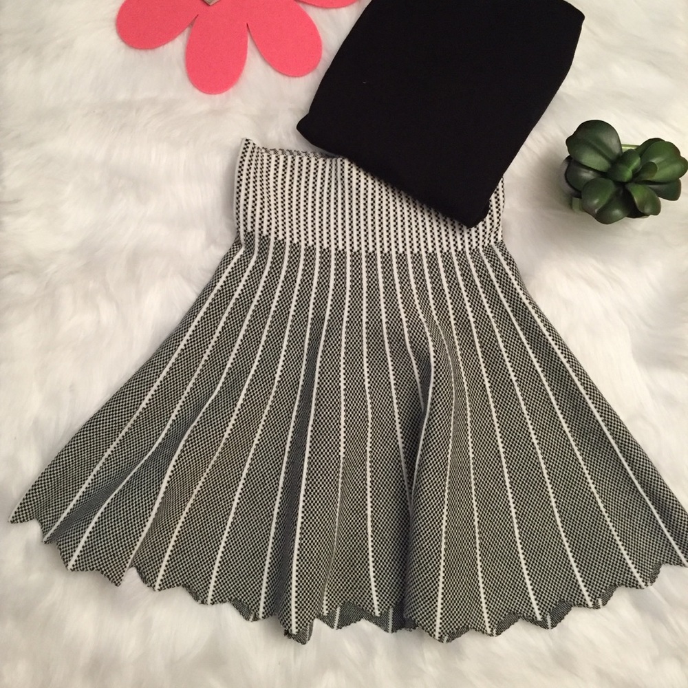 Black and White Flare Skirt