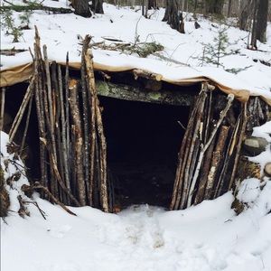 Meet your Posher, Jarrett