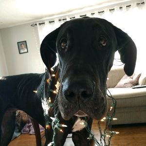 Meet your Posher, Christine