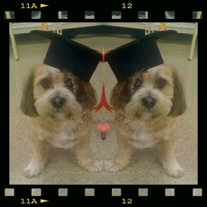 Meet your Posher, Robin