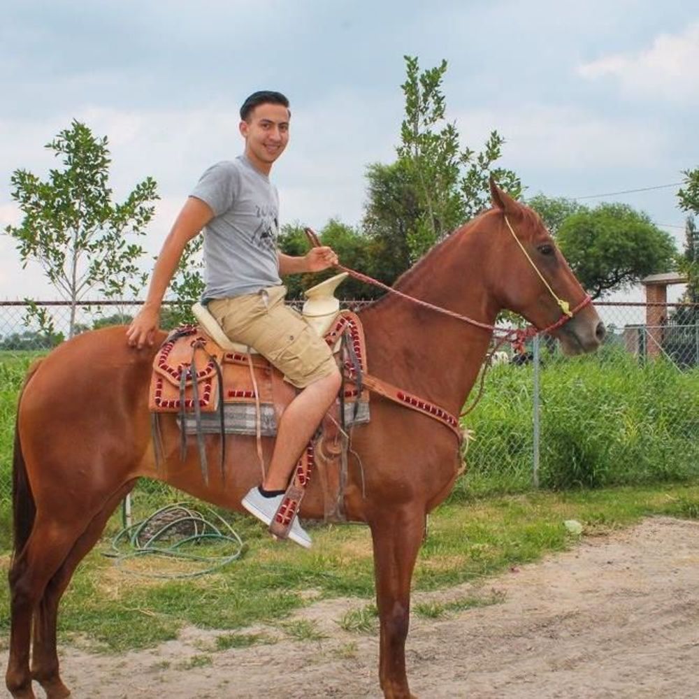 Meet your Posher, Moises