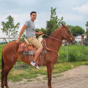 Meet your Posher, Moises