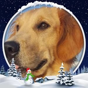 Meet your Posher, Terrie