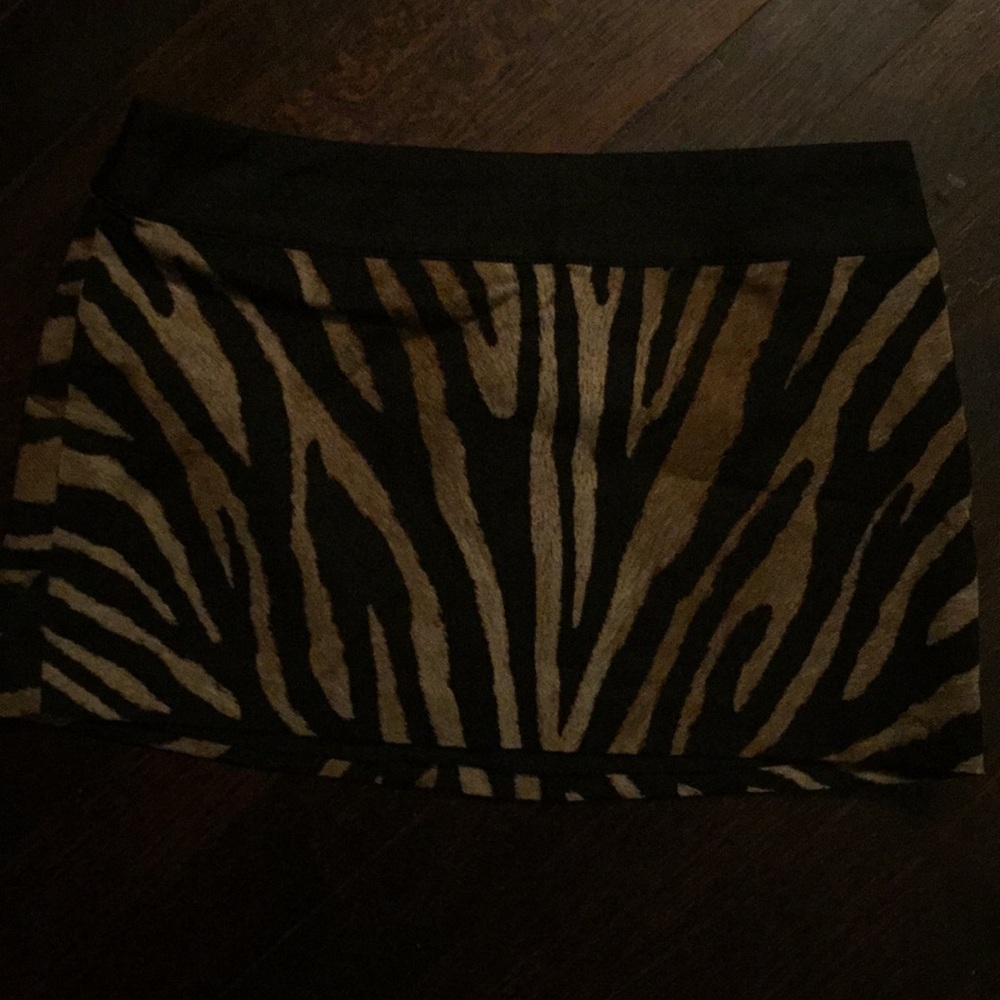 New Express Mini Skirt