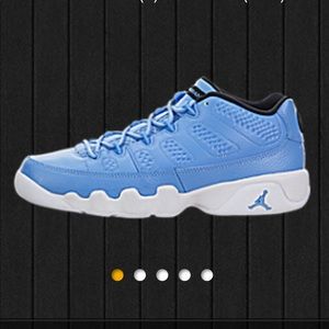 pantone 9s