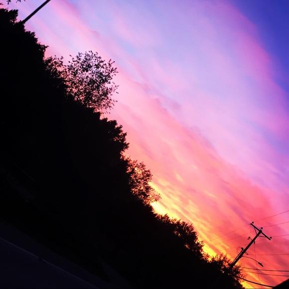 Meet your Posher, Jasmine - Picture 1 of 1