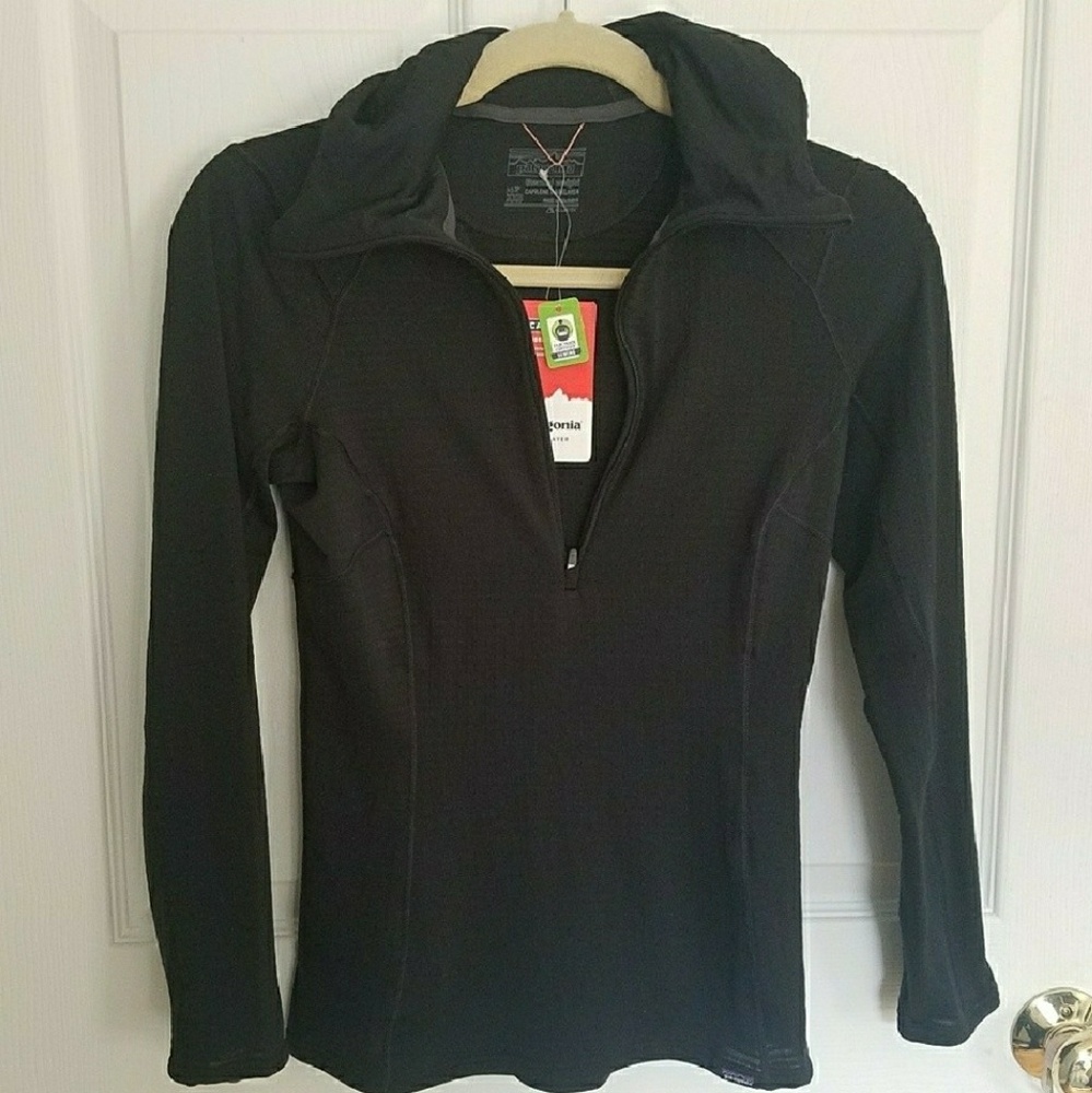 Patagonia Capilene Thermal Weight Hoodie