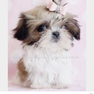 Meet your Posher, Mary