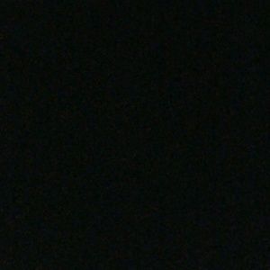 Meet your Posher, Owen