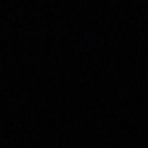 Meet your Posher, Shadae