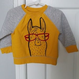 Llama sweatshirt
