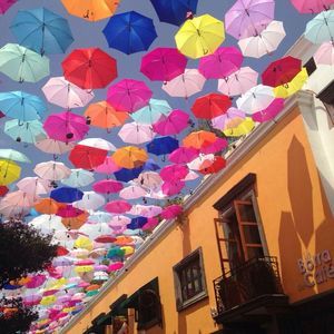 Meet your Posher, Rumi