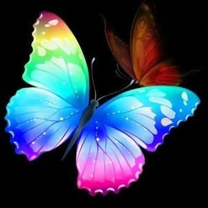 Meet your Posher, Bettie