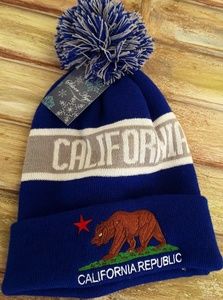 Other - California Republic winter hat/beanie w/pom Other - California Republic winter hat/beanie w/pom
