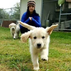 Meet your Posher, Amy