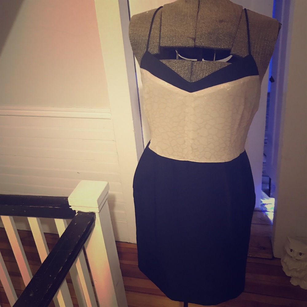 Stunning dress by Rachel Roy