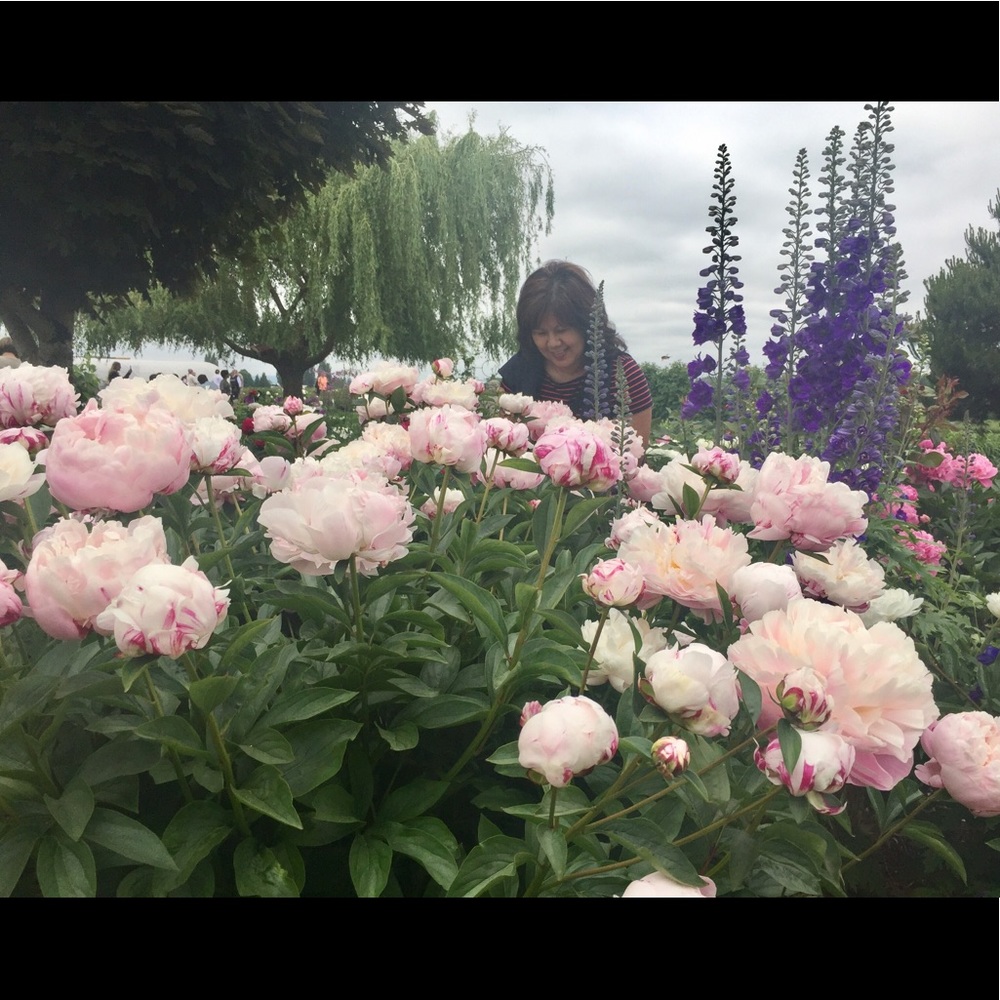 Meet your Posher, Cindy