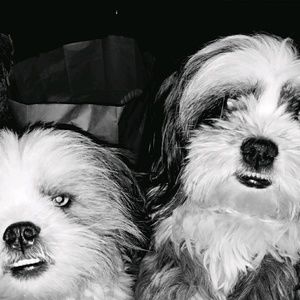 Meet your Posher, Laura