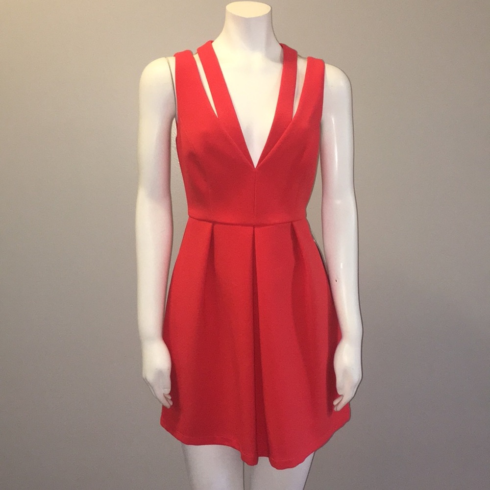 BCBG Fit and Flare
