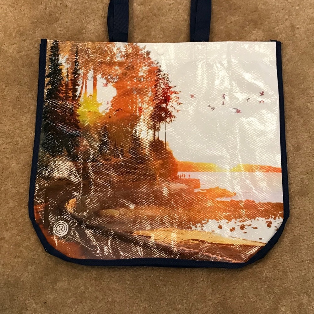 Bundle Sea Wheeze 2017 (1)large and (3)small totes