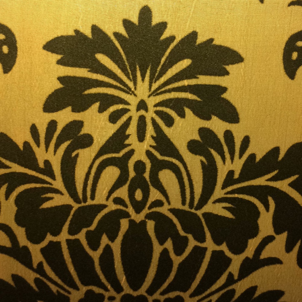 Meet your Posher, Ellyn