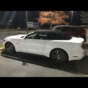 Meet your Posher, Liam