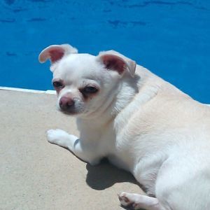 Meet your Posher, Kim