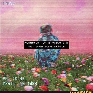 Meet your Posher, Destiny