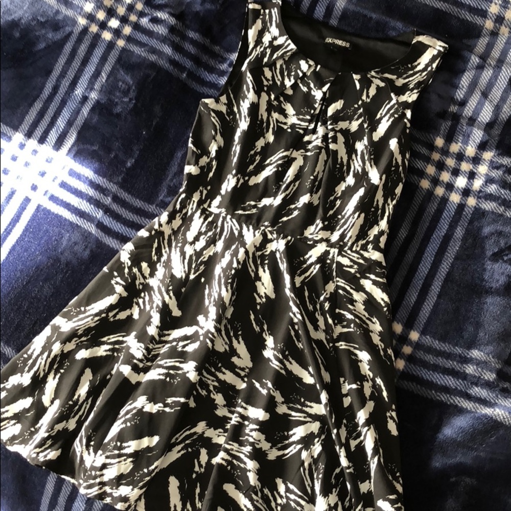 Express black and white swing dress