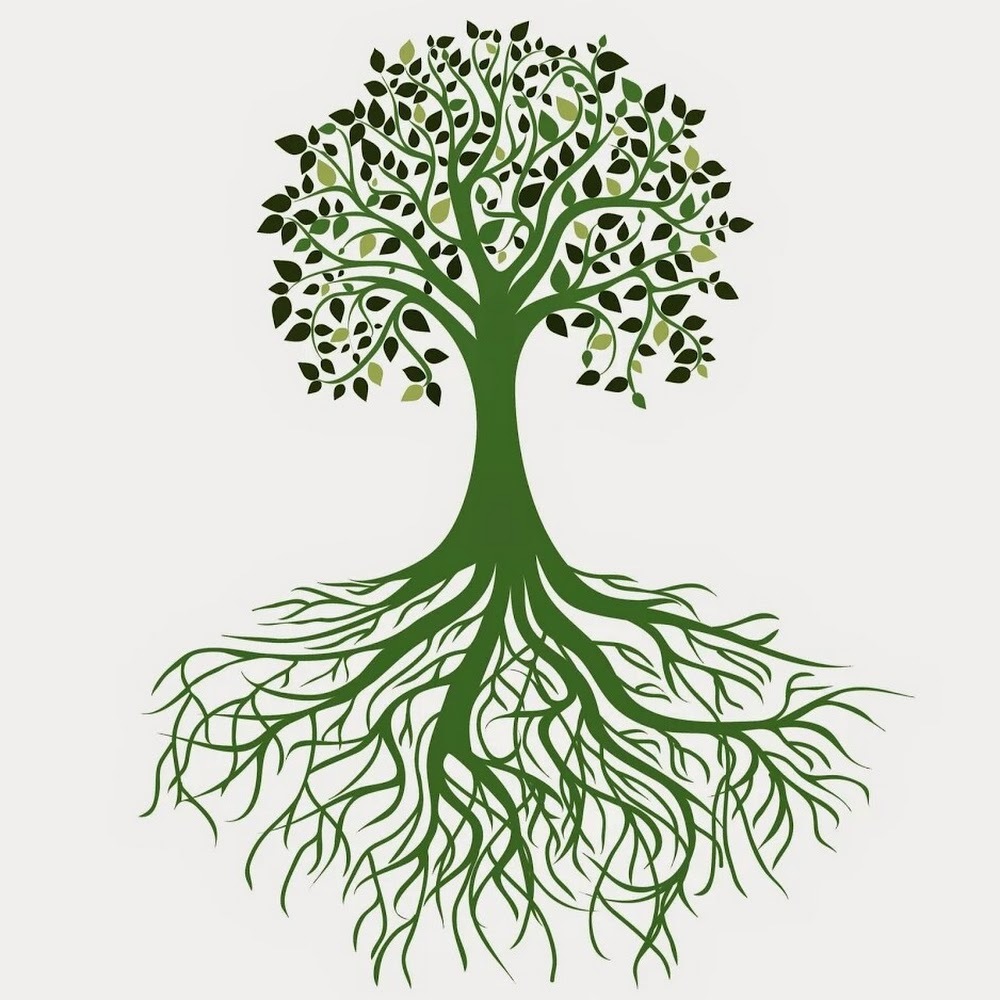 Meet your Posher, Loree