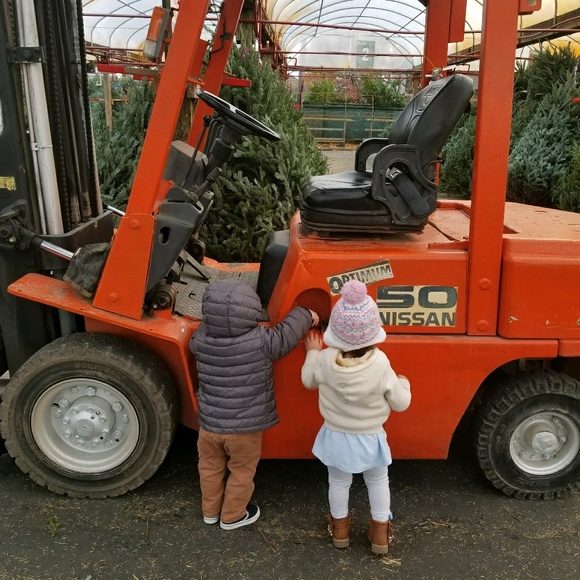 Meet your Posher, Dawn - Picture 1 of 1