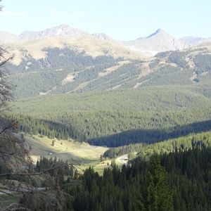 Meet your Posher, Teri