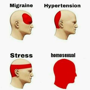 Meet your Posher, Hans