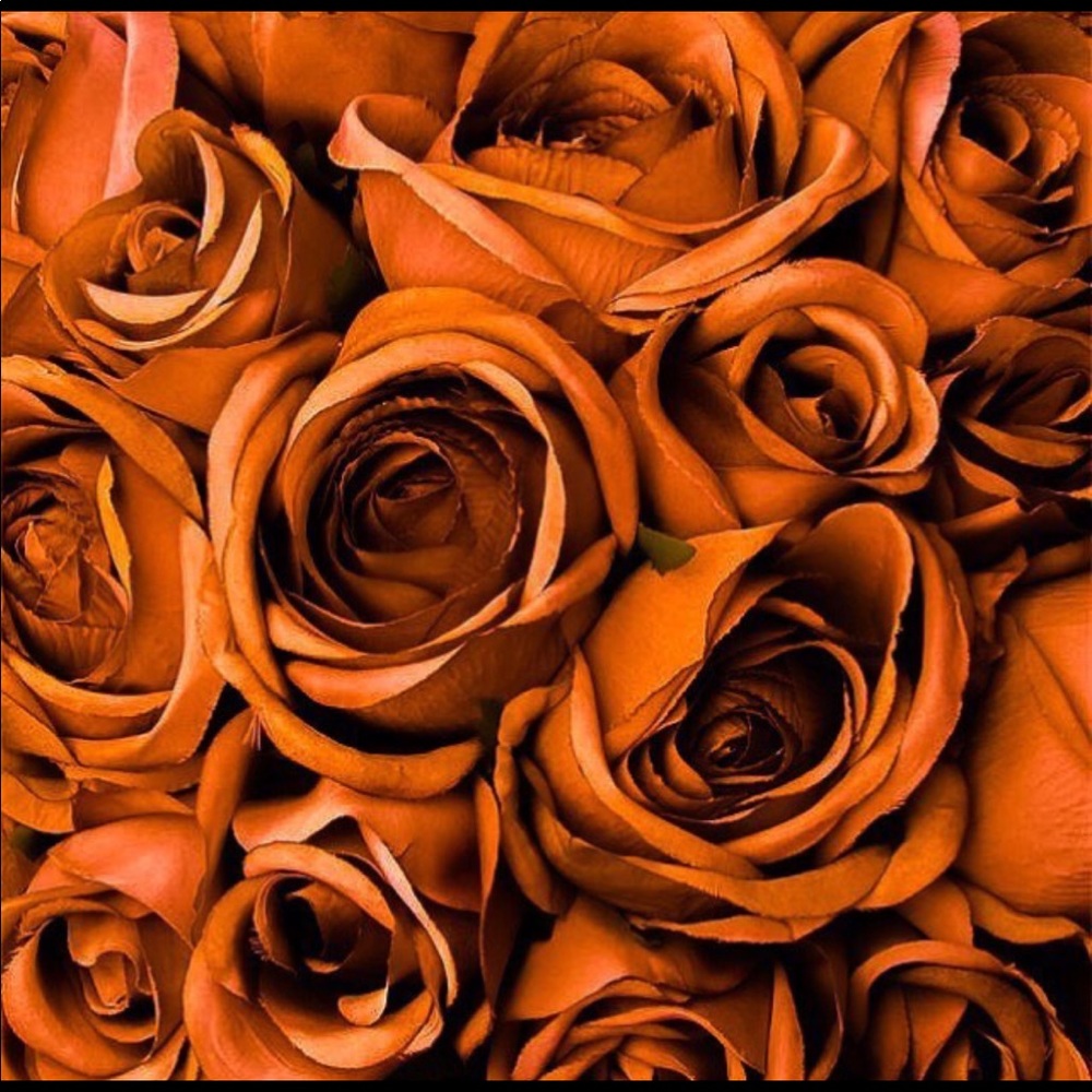 Meet your Posher, Rubie