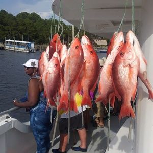 Meet your Posher, Jeff