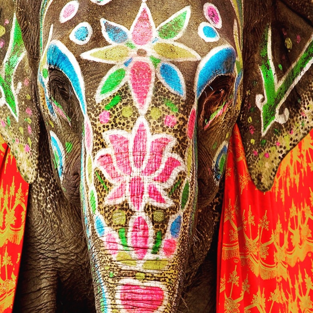 Meet your Posher, Ana